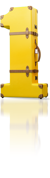 1Cover Suitcase