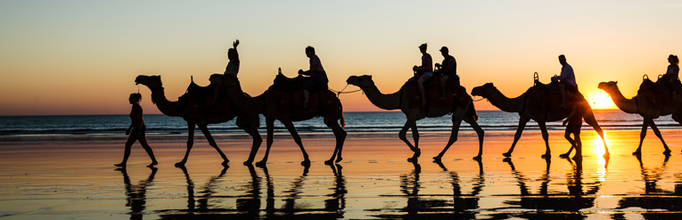 Camel Riding On Cable Beach In Broome