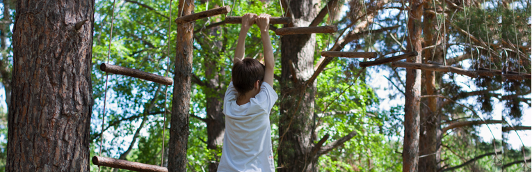 Treetop Obstacle Course