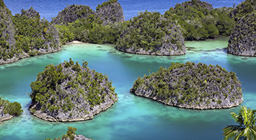 travel insurance for papua