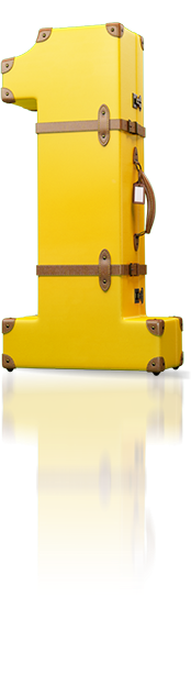 1Cover Suitcase